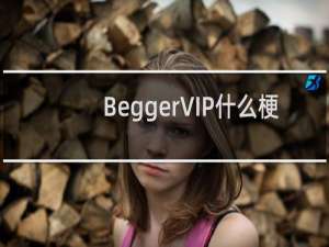 BeggerVIP什么梗