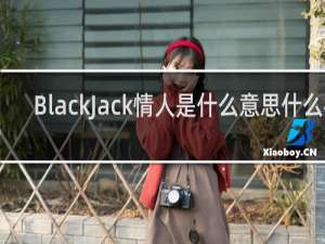 BlackJack情人是什么意思什么梗