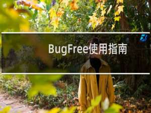 BugFree使用指南