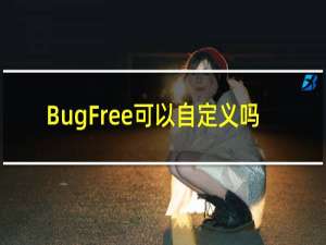 BugFree可以自定义吗