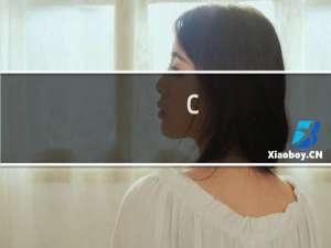 C:\\Users\\>nslookup www.nanpim