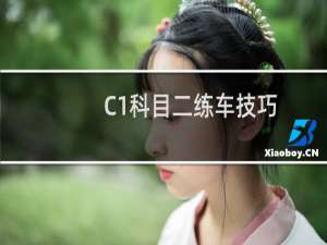 C1科目二练车技巧