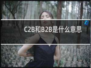 C2B和B2B是什么意思