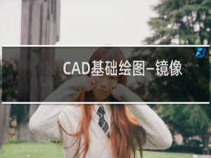CAD基础绘图—镜像命令