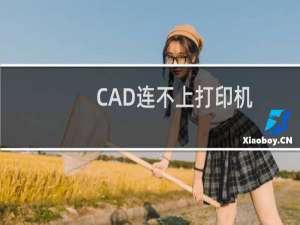 CAD连不上打印机