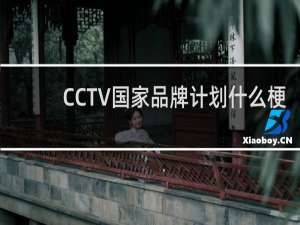 CCTV国家品牌计划什么梗