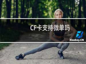 CF卡支持微单吗