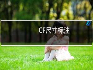 CF尺寸标注