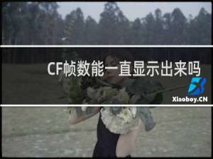 CF帧数能一直显示出来吗