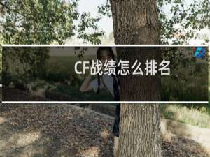 CF战绩怎么排名