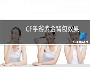 CF手游紫金背包效果