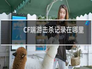 CF端游击杀记录在哪里