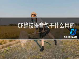 CF绝技语音包干什么用的