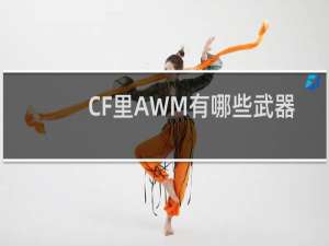 CF里AWM有哪些武器