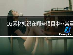 CG素材知识在哪些项目中非常重要