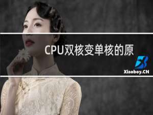 CPU双核变单核的原因