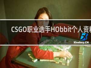 CSGO职业选手HObbit个人资料-红星Hobbit介绍