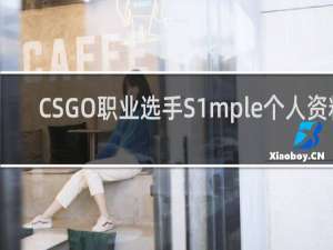 CSGO职业选手S1mple个人资料_NAVI战队S1mple信息-「鲸吼社区」