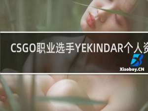 CSGO职业选手YEKINDAR个人资料_YEKINDAR百科介绍_「鲸吼社区」