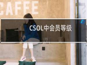 CSOL中会员等级