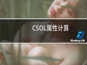 CSOL属性计算