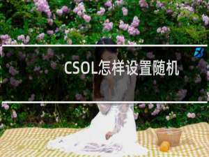 CSOL怎样设置随机