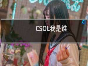 CSOL我是谁