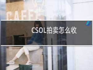 CSOL拍卖怎么收
