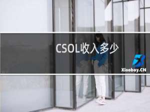 CSOL收入多少