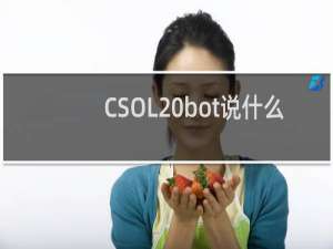 CSOL bot说什么