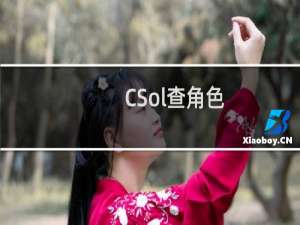 CSol查角色