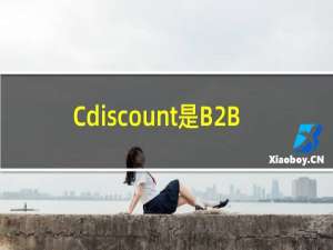 Cdiscount是B2B