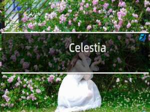 【Celestia（鸟瞰地球）】免费Celestia（鸟瞰地球）软件下载