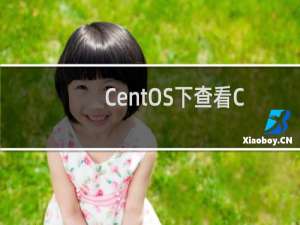 CentOS下查看CPU信息的详解