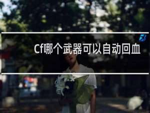Cf哪个武器可以自动回血
