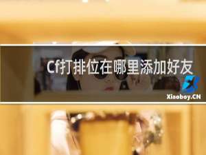 Cf打排位在哪里添加好友
