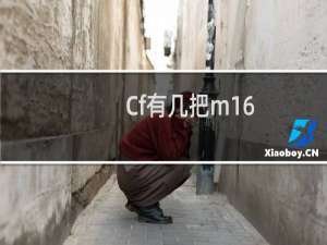 Cf有几把m16