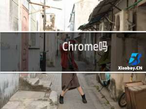 Chrome吗