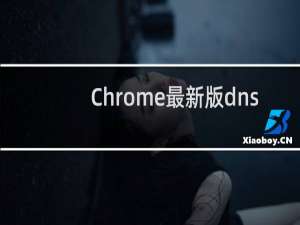 Chrome最新版dns