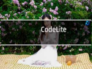 【CodeLite】免费CodeLite软件下载