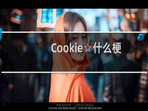 Cookie☆什么梗