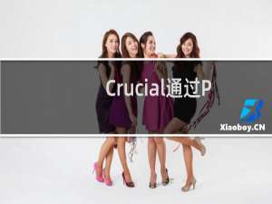 Crucial通过PoPVideo进入iOS配件市场
