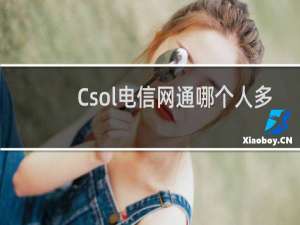 Csol电信网通哪个人多