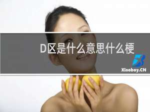 D区是什么意思什么梗