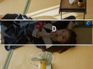 D-Link 路由器设置图解 以DI-504为例[推荐]