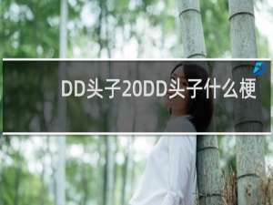 DD头子 DD头子什么梗