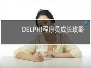 DELPHI程序员成长攻略