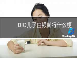 DIO儿子白银御行什么梗