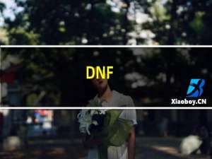 DNF:奶妈这个人物好不好