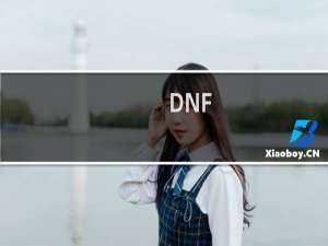 DNF:百花的PK加点